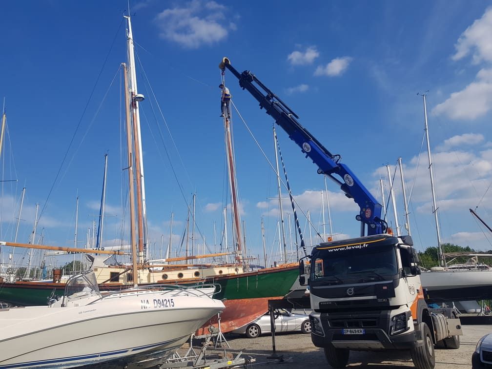 Grue bleue au milieu des voiliers dans un port