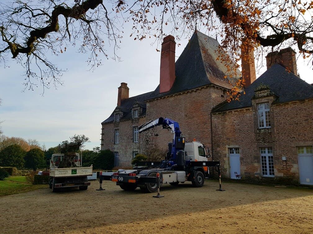 Intervention dans le parc d'un château
